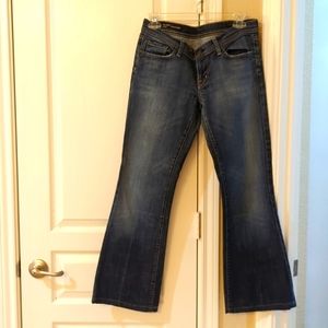 Citizens of Humanity Flare Jeans